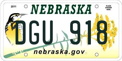 NE license plate DGU918