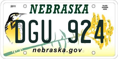 NE license plate DGU924