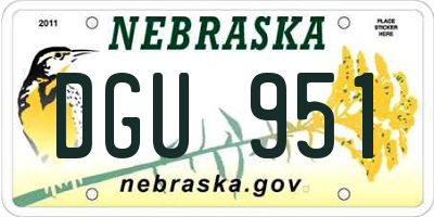 NE license plate DGU951