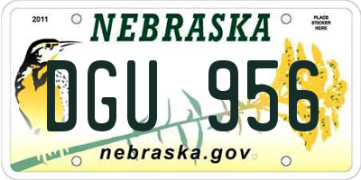 NE license plate DGU956