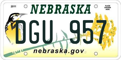 NE license plate DGU957