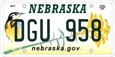 NE license plate DGU958