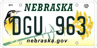 NE license plate DGU963