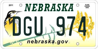 NE license plate DGU974