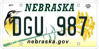 NE license plate DGU987