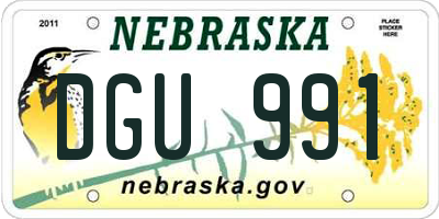 NE license plate DGU991