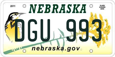 NE license plate DGU993