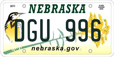 NE license plate DGU996