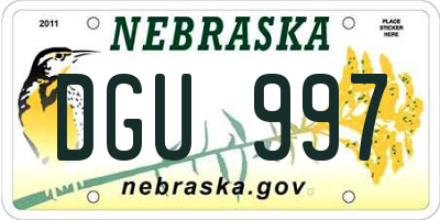 NE license plate DGU997
