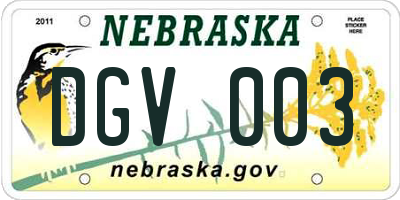 NE license plate DGV003