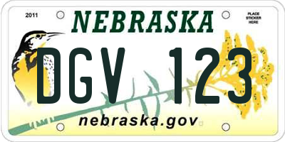 NE license plate DGV123