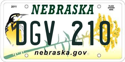 NE license plate DGV210
