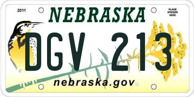 NE license plate DGV213