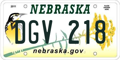 NE license plate DGV218