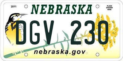 NE license plate DGV230