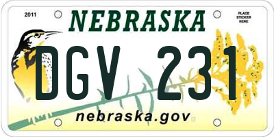 NE license plate DGV231