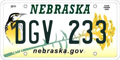 NE license plate DGV233
