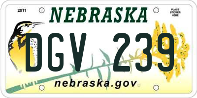 NE license plate DGV239