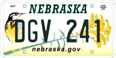 NE license plate DGV241