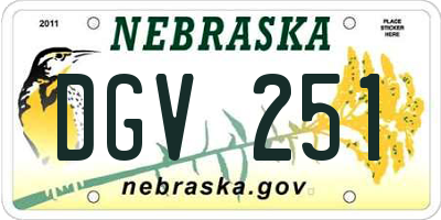 NE license plate DGV251