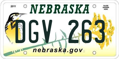 NE license plate DGV263
