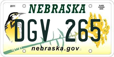 NE license plate DGV265