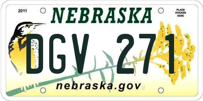 NE license plate DGV271