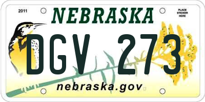 NE license plate DGV273