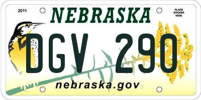 NE license plate DGV290