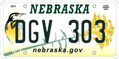 NE license plate DGV303