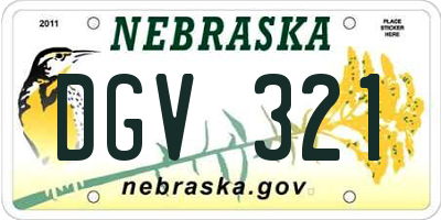 NE license plate DGV321