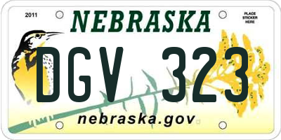 NE license plate DGV323