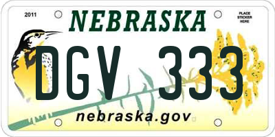 NE license plate DGV333