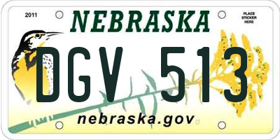 NE license plate DGV513
