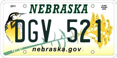 NE license plate DGV521