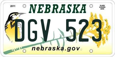 NE license plate DGV523