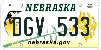 NE license plate DGV533