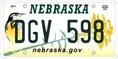 NE license plate DGV598