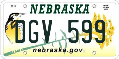 NE license plate DGV599