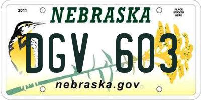NE license plate DGV603