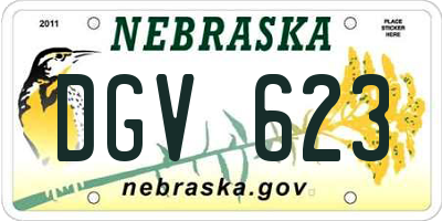 NE license plate DGV623