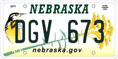 NE license plate DGV673