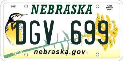 NE license plate DGV699