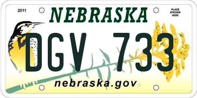 NE license plate DGV733