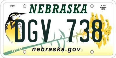 NE license plate DGV738