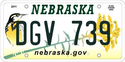 NE license plate DGV739