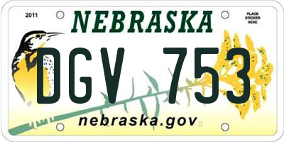 NE license plate DGV753