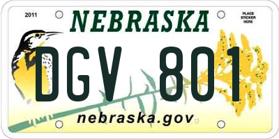 NE license plate DGV801
