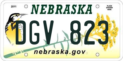 NE license plate DGV823