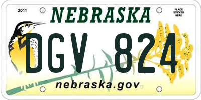 NE license plate DGV824
